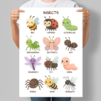 Навчальний постер для малюків Комахи англійською Insects А3 30х42 см (D245_А3)