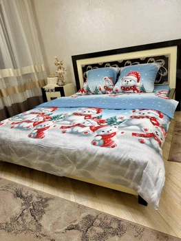 Постільна білизна Двоспальна Пакистанська байка 180 x 220 см 4705 Різнобарвна 70 х 70 см