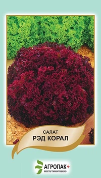 Семена листового салата Ред корал, Legutko, 0.5 г.