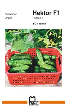 Семена огурца Гектор F1, Nunhems, 20 шт.