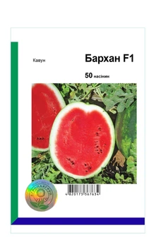 Насіння кавуна Бархан F1 (Barhan), ранній, Syngenta, 10 шт.