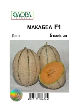 Семена дыня Макабеа F1, Syngenta, 5 шт.