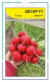 Семена редиса Цесарь F1, Syngenta, 3 г.