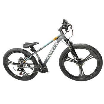 Велосипед Forte SHADE 25.2412-01S к24" р12" сталь серый