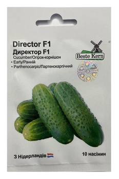 Насіння Огірок Директор F1 10 насінин, Beste Kern