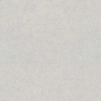 Обои флизелиновая erismann gmk v fashion for walls (p.2) 12262-10 однотонные под бетон серый Германия