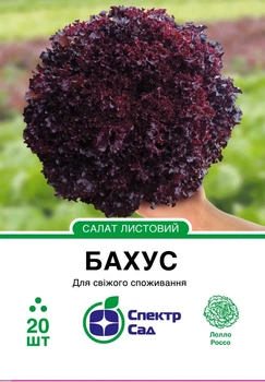 Насіння салату Бахус 20шт