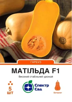 Насіння гарбуза Матільда F1 5шт