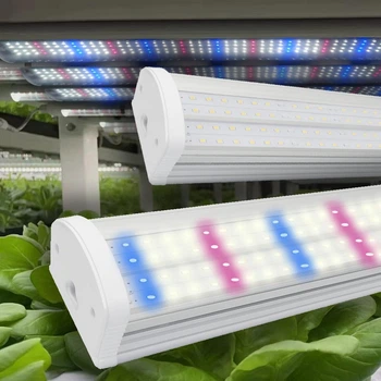 Фітолампа для рослин T20 LED 36W 60 см повний спектр (4000K + 450nm + 660nm) — для росту та підсвітки рослин