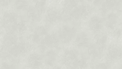 Tapeta winylowa na flizelinie Sintra Vivido 0.53 x 10.05 m Biało-szara (4824001692400)