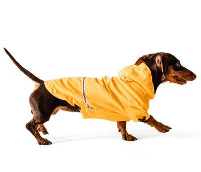 Одяг Noble Pet Moss Long Yellow - дощовик для такс та коргі M (M4108/M-Long)