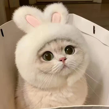 Шапка с ушками кролика для котов 17х15 см Podarkus DK037