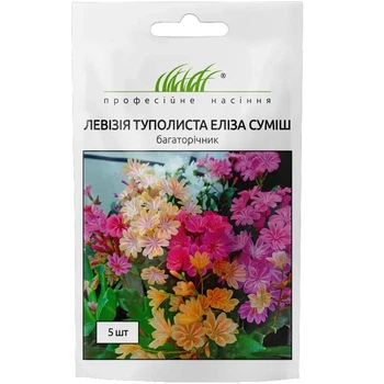 Насіння Левізія туполиста Еліза / 5 шт