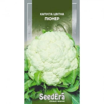 Насіння Капуста цвітна 0,3г Піонер SeedEra