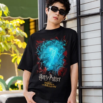 Футболка унісекс Harry Potter (And The Prisoner of Azkaban) 4XL чорний