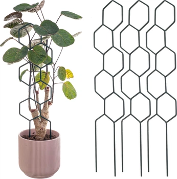 Podpora doniczkowa heksagon drabinka Kadax Fora 3 szt. (K11364)