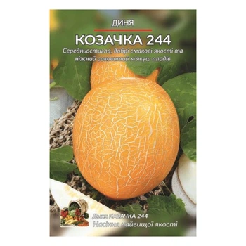 Семена дыня Казачка среднеранняя 5 г