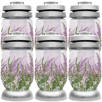 Набір лампадок Bolsius 3S 16 Верес 6 шт (8717847176769)