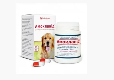 Амокланід для собак 25 капсул по 0,5 гр Бровафарма при захворюваннях ШКТ, органів дихання, сечовивідних шляхів