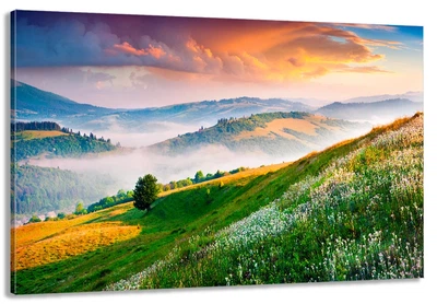 Картина на холсте Art Dekors Природа гор 30x60 см MLP 222