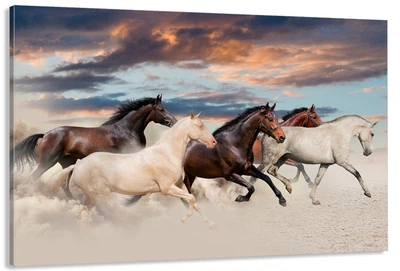 Картина на полотні Art Dekors Природа Коней 40x80 см MLP 380