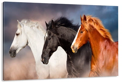Картина на холсте Art Dekors Три Лошади 30х60 см MLP 368