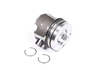 Поршень з кільцями Renault 89,50 2,5DCi 16V G9U Nural 87-137507-30