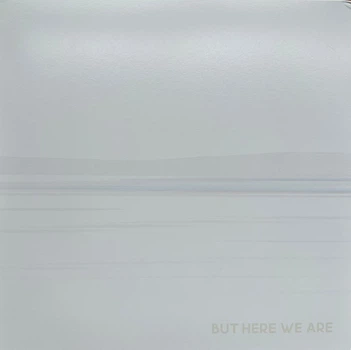 Вінілова платівка Foo Fighters - But Here We Are 1LP (196588178412)
