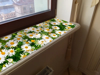 Покриття силіконове для підвіконня, м'яке скло з фото-принтом, 1,2 мм (350х1600)(ПО-3-pol_fl156)