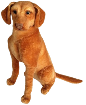 Maskotka Dubi Wyżeł siedzący 44 cm C5768 (5905965333086)