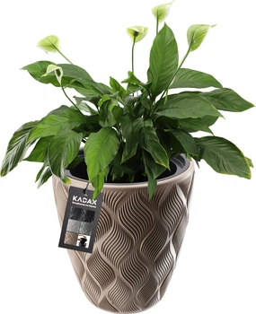 Садовий горщик Kadax Jesi К4344