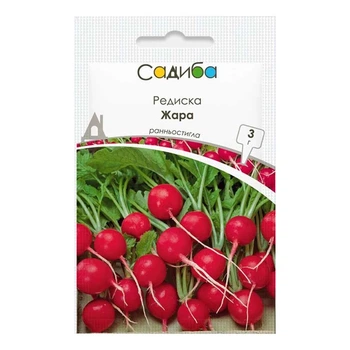 Редис Жара, 3 г, Традиция