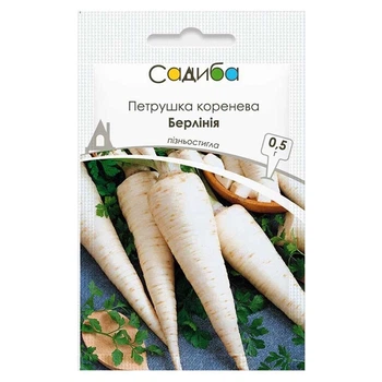 Насіння Петрушки Satimex коренева Берлінія, 0,5 г, Традиція