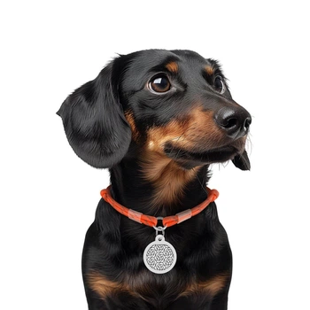 Шнурок для адресника из паракорда Waudog Smart ID светоотражающий S D 4 мм 25-45 см Оранжевый (60384 Col)