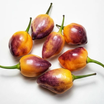 Насіння Перець гострий Золотий горіх (Zolotyy horikh), Capsicum chinense 5 шт/уп