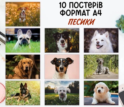 Набор постеров "Песики. Dogs" 10 шт, формат А4