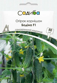 Семена огурца Бодина F1, 50шт, Satimex, Германия, семена Садиба Центр