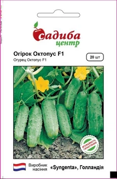 Семена огурца Октопус F1, 20шт, Syngenta, Голландия, семена Садиба Центр