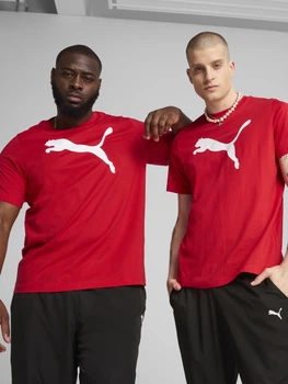 Футболка хлопковая длинная мужская Puma Essentials Foundation 68253611 L For All Time Red с принтом (4067983301933)