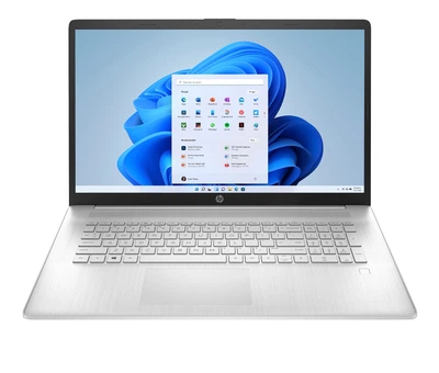 Ноутбук HP 17t-cn300 (B00J9AV)