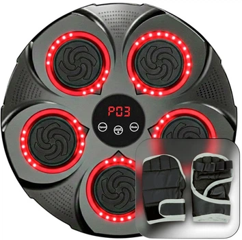 Боксерский тренажер EasyFit EF-0352 настенный музыкальный с подсветкой (56003756)