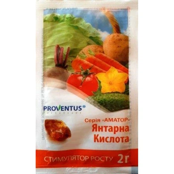 Янтарна бурштинова кислота 2 г