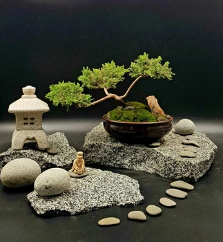 Бонсаи можжевельник выс 26 YP-1129