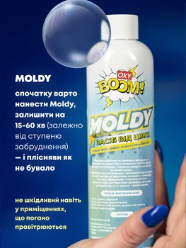Средство от плесени OxyBoom MOLDY 250 мл (OXB250PL)