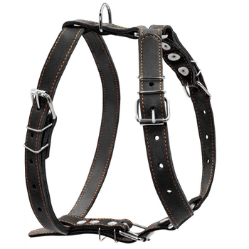 Шлея одинарна CoLLaR для середніх собак 25 мм х 49-68 см х 68-80 см Чорний (06381 Col)