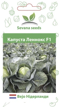 Семена капусты Леннокс F1 20 шт. Bejo