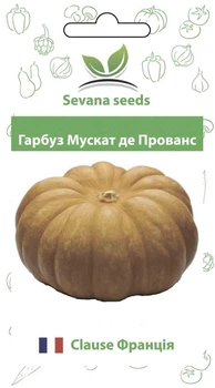 Насіння гарбуза Мускат де Прованс 10 шт Clause