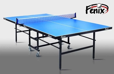 Всепогодный стол для настольного тенниса Fenix Home Sport Outdoor M5 складной 5 мм, синий