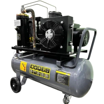 Компрессор GTM DLG3V 230