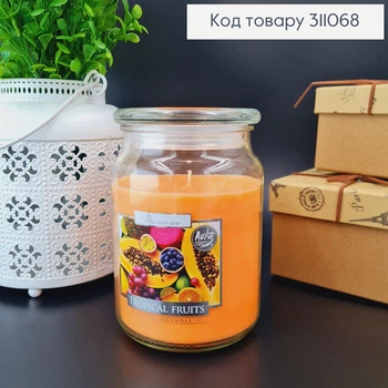 Аромасвіча в банці, 500 г із запахом Tropical fruits (Тропічних фруктів) 100 годин горіння, свічка Bispol